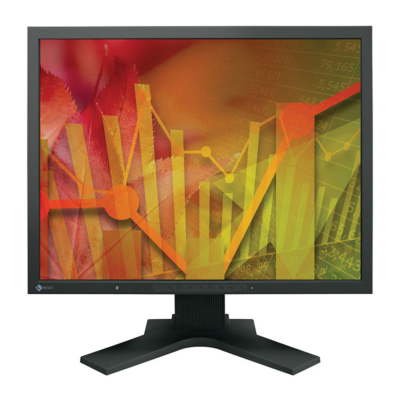 Eizo S2133-BK 21.3 inch monitor