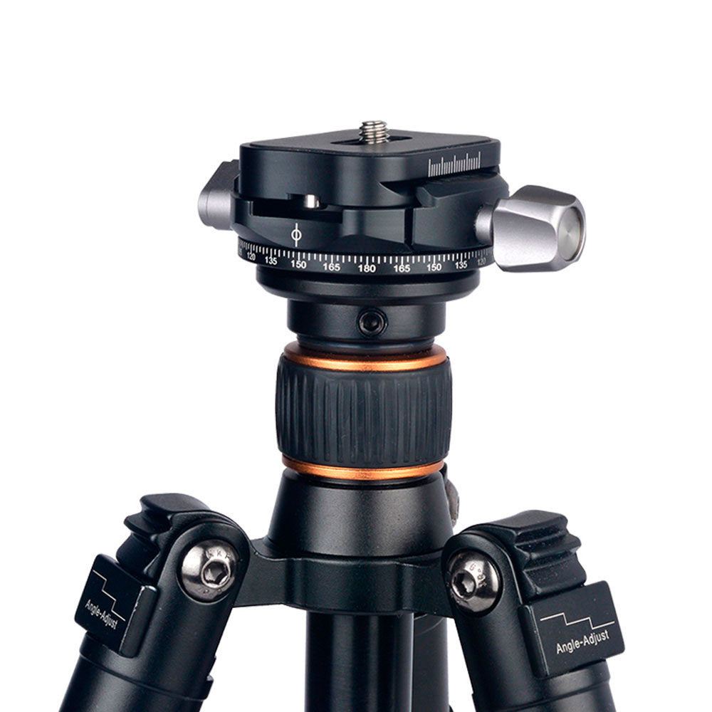 Rollei Panorama Head 200 Mark II - 360° Panorama Head with Transport Case for Secure Attachment, Load Capacity up to 3 kg, Compatible with Acra Swiss - Black Rollei Panorama Head 200 Mark II - 360° Panorama Head with Transport Case for Secure Attachment, Load Capacity up to 3 kg, Compatible with Acra Swiss - Black