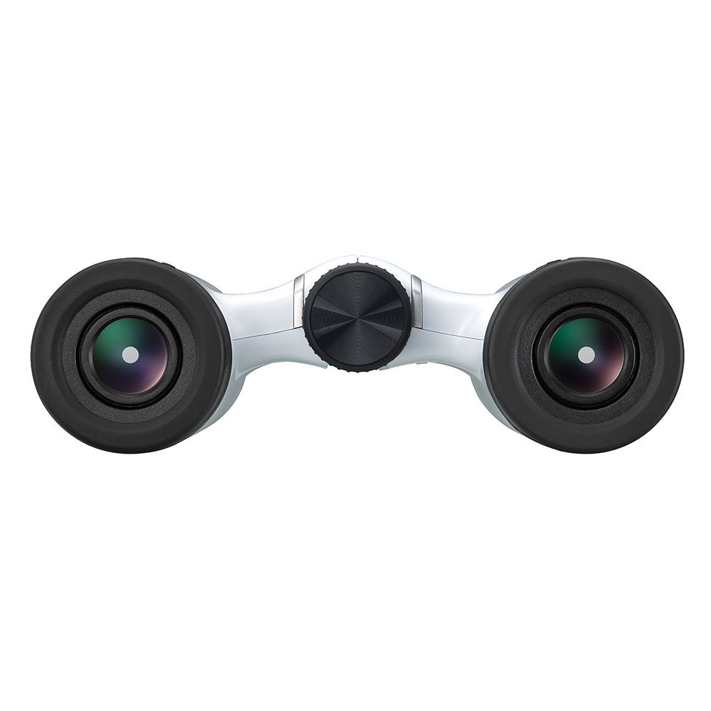 Nikon Aculon T02 10x21 verrekijker (10-voudig, 21 mm frontlensdiameter), zwart