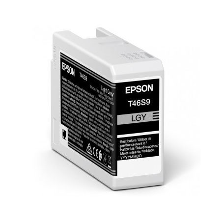 Epson UltraChrome Pro inktcartridge 1 stuk(s) Origineel Licht Grijs
