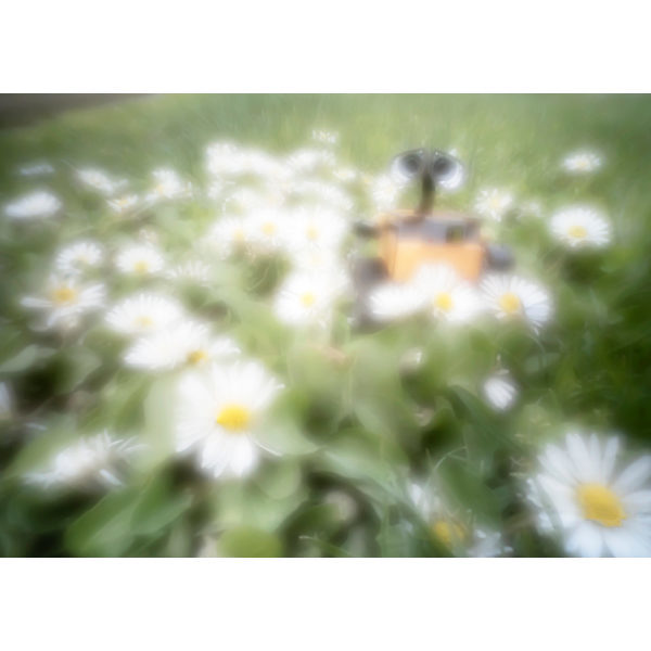 Lensbaby Obscura 50 Optic kopen? Cameranu