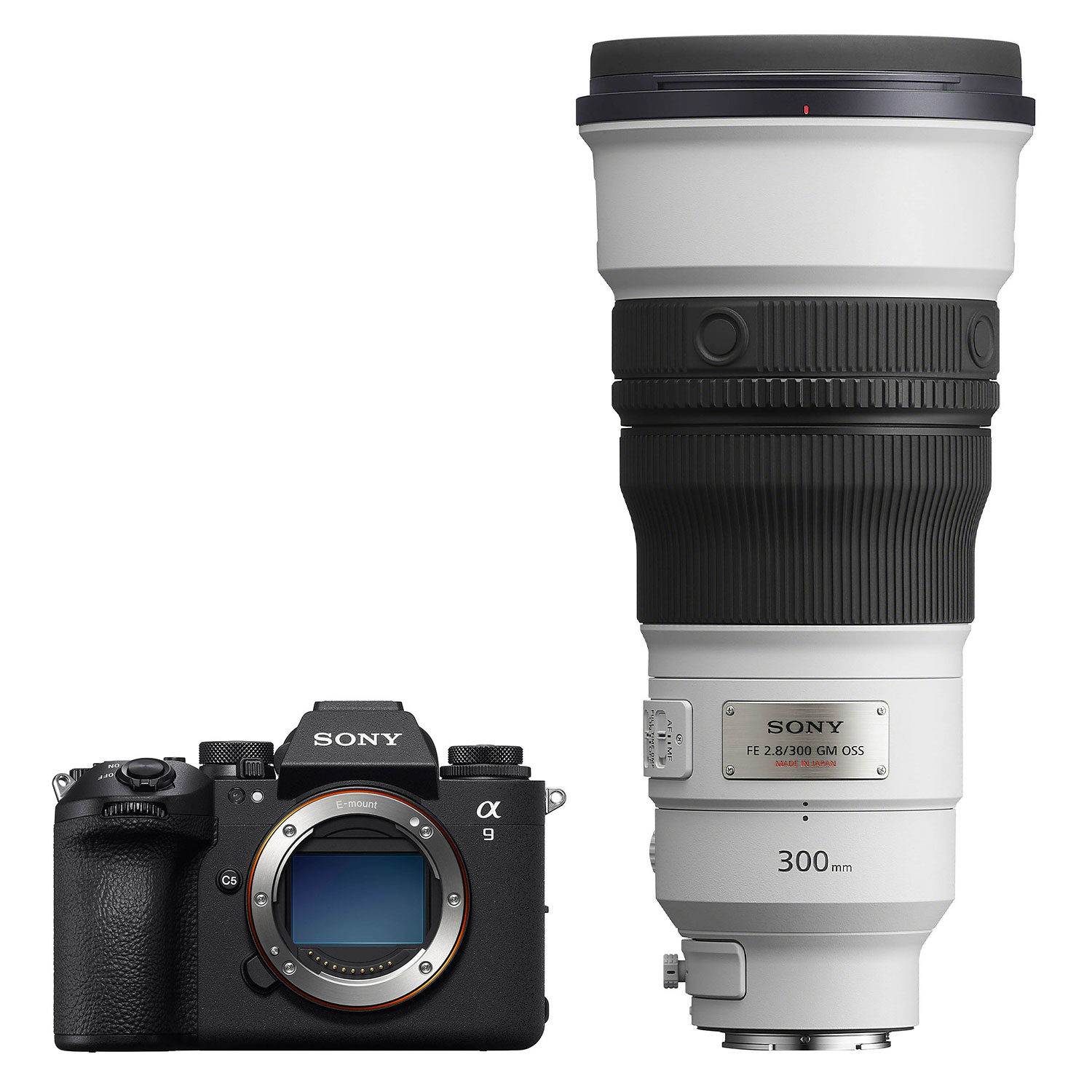Sony Alpha A9 III systeemcamera (ILCE9M3B.CEC) + 300mm f/2.8 GM OSS