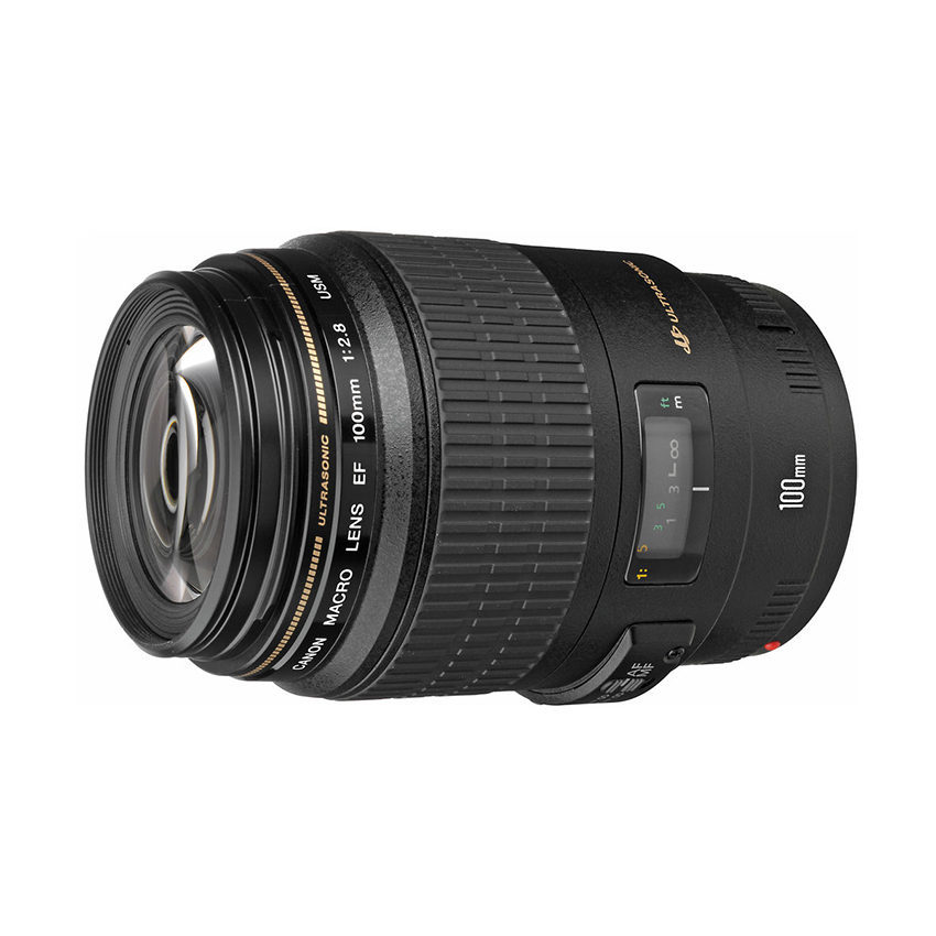 Tweedehands Canon 100mm f/2.8 Macro USM kopen? | Cameranu
