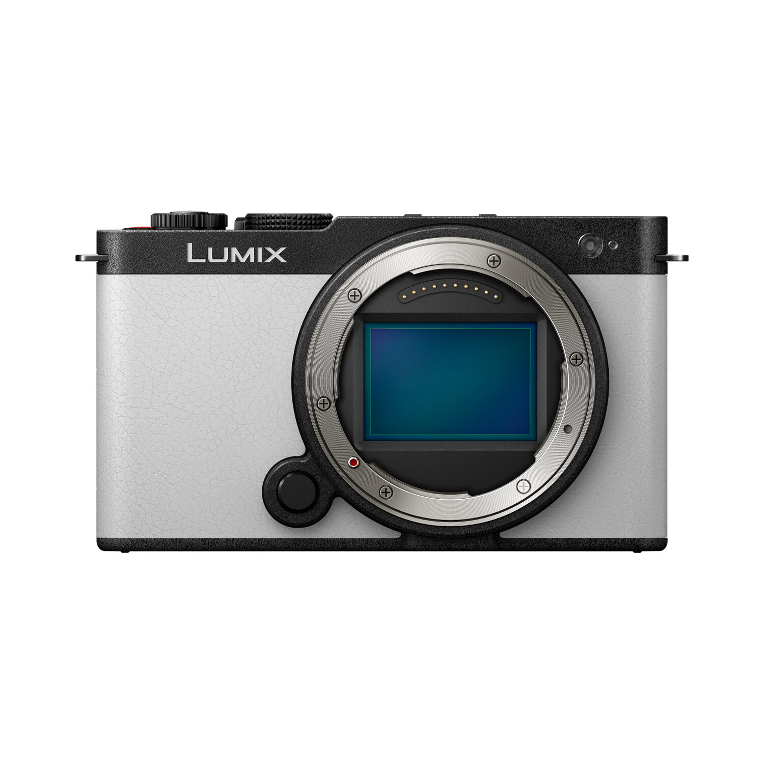 Panasonic Lumix S9 Body Wit