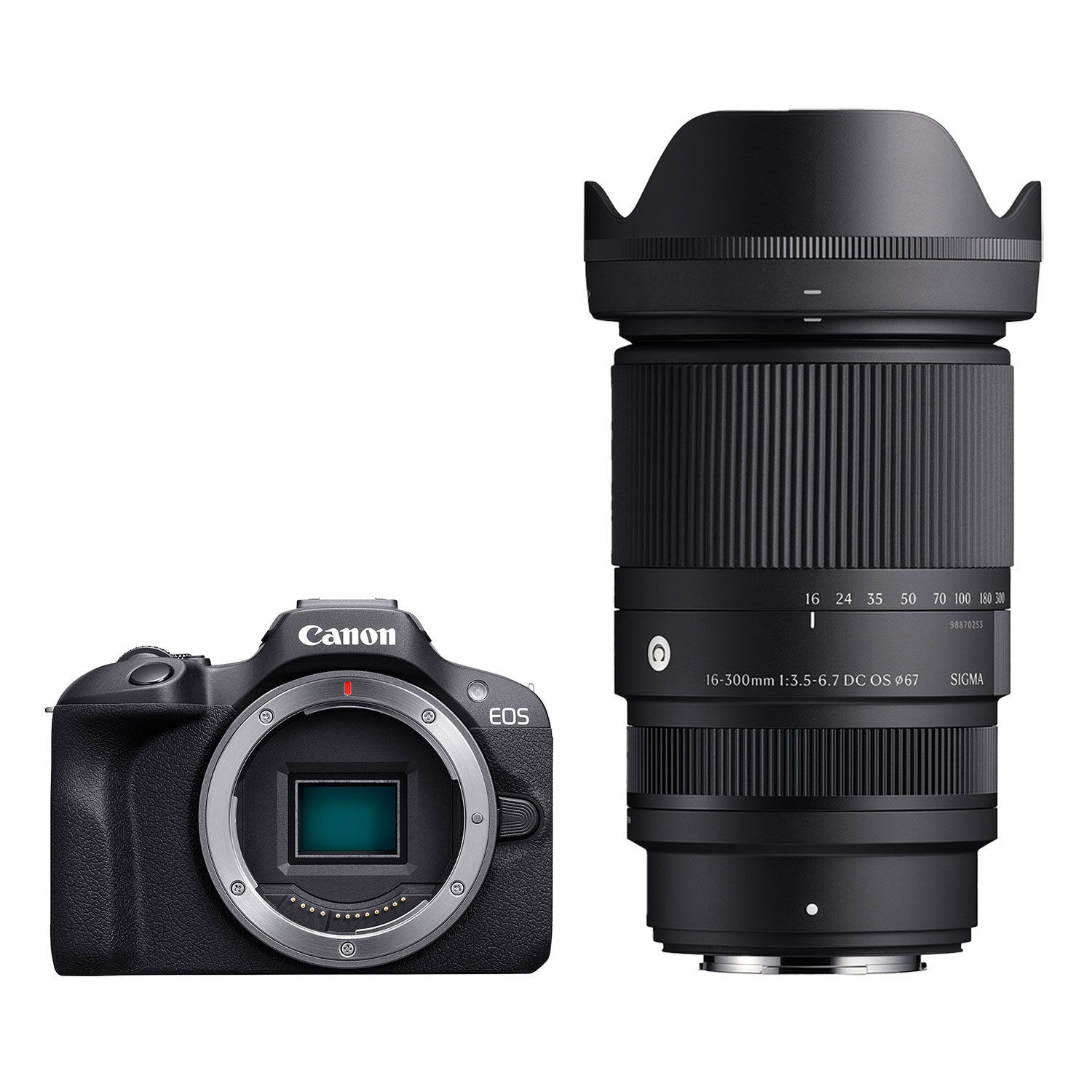 Canon EOS R100 systeemcamera + Sigma 16-300mm f/3.5-6.7 DC OS Contemporary