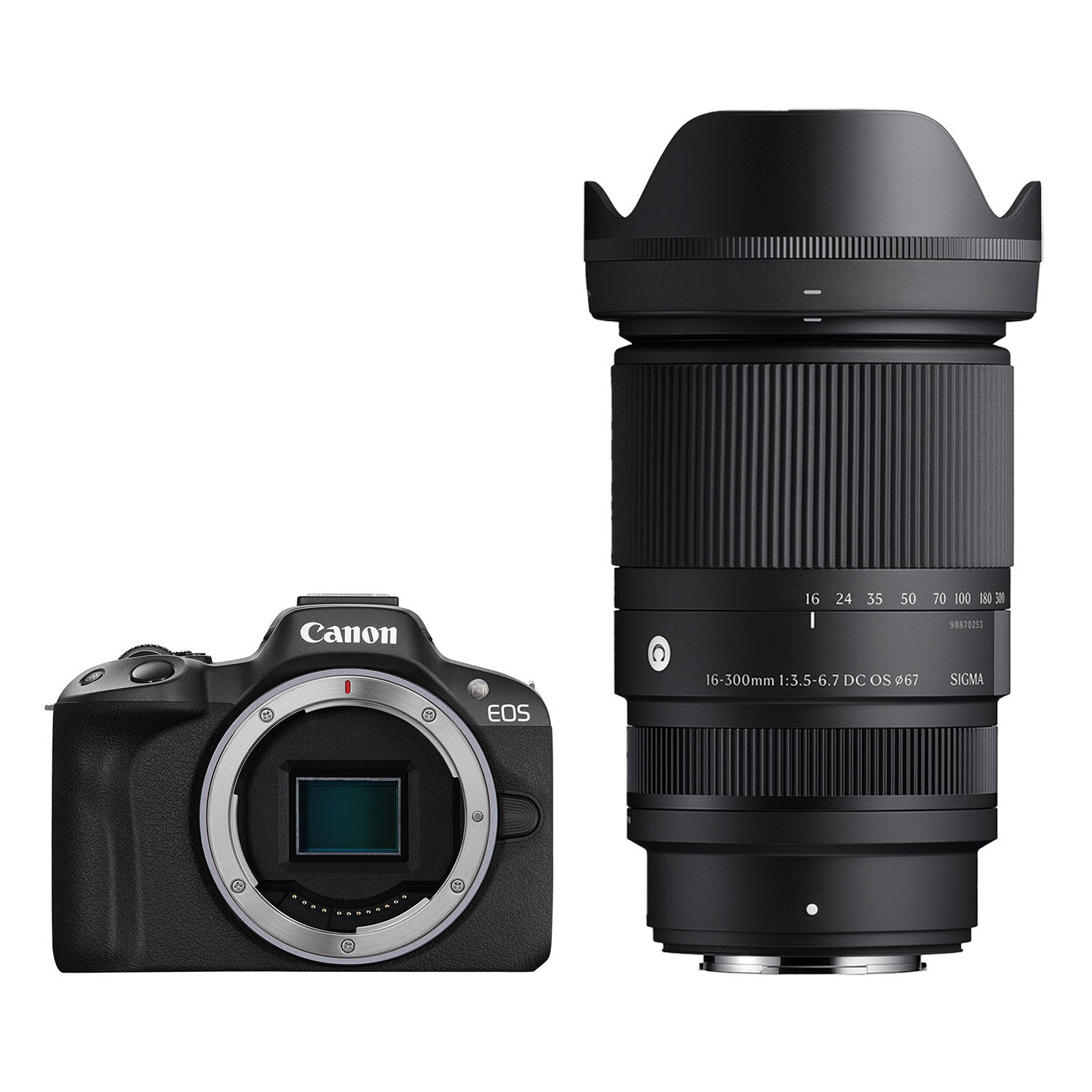 Canon EOS R50 systeemcamera + Sigma 16-300mm f/3.5-6.7 DC OS Contemporary