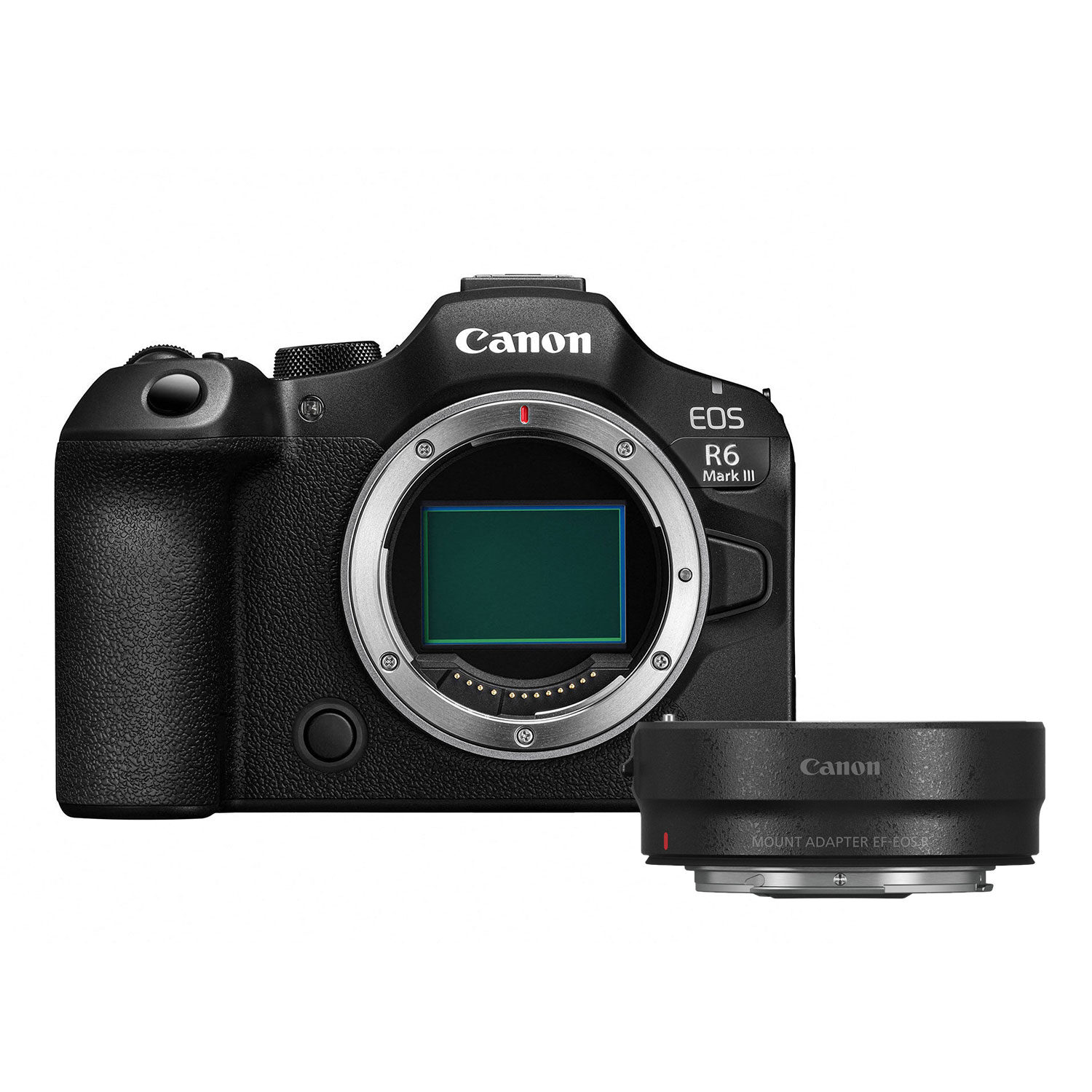 Canon EOS R6 Mark III systeemcamera + Mount Adapter EF-EOS R