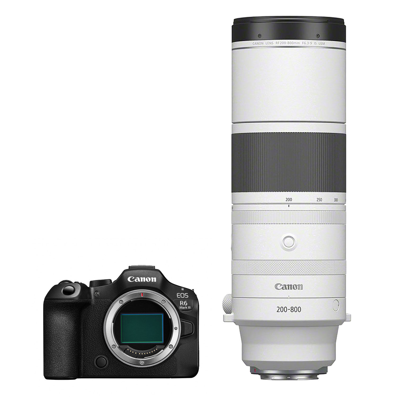 Canon EOS R6 Mark III systeemcamera + RF 200-800mm f/6.3-9.0 IS USM
