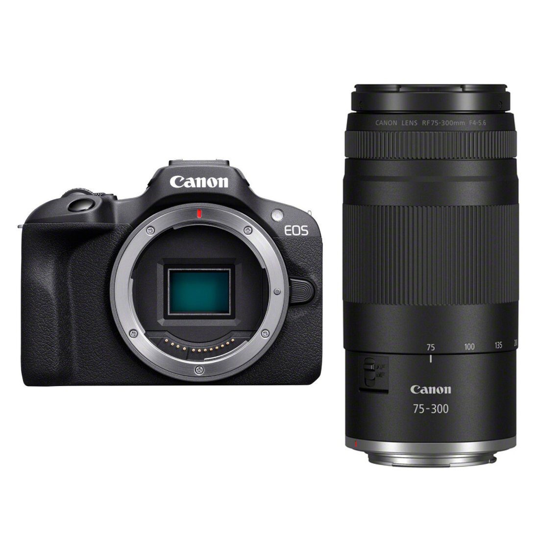 Canon EOS R100 systeemcamera + RF 75-300mm