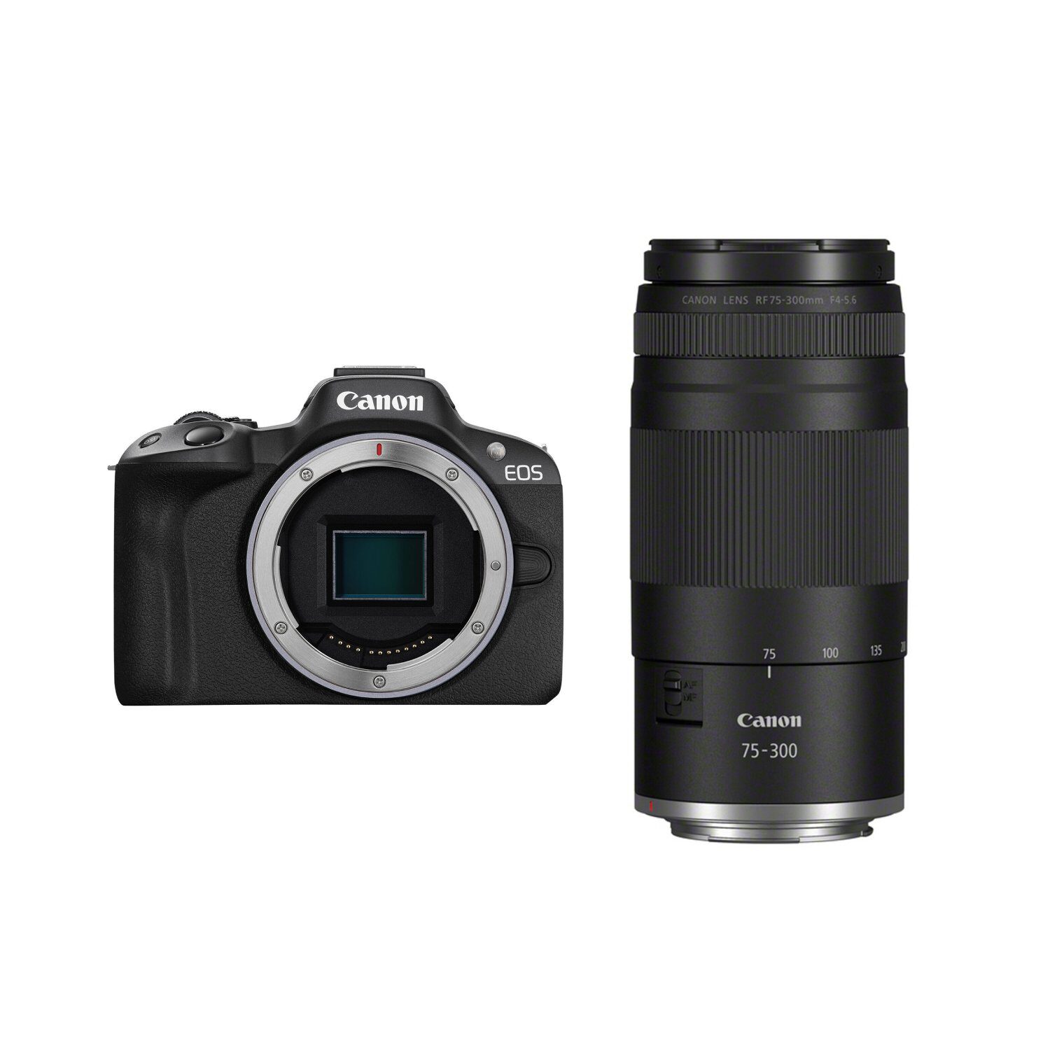 Canon EOS R50 systeemcamera + 75-300mm