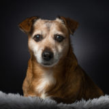 Workshop Haal meer uit je flitser - Urk - 14 januari 2023