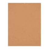 Westcott X-Drop Wrinkle-Resistant Backdrop - Brown Sugar (5' x 7')