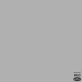 Savage Achtergrondrol Focus Grey (nr 60) 2.18m x 11m