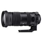Sigma 60-600mm f/4.5-6.3 DG OS HSM Sports Sigma SA-mount - Tweedehands