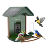 Camouflage EZ BirdFeed 1