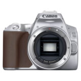 Canon 250D Zilver - Tweedehands