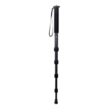 Dorr Classic 165 Carbon monopod