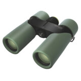 Swarovski CL Companion 10x30 Mountain Green