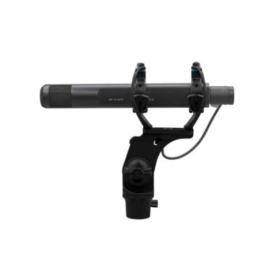Radius RAD-2 Shock Mount