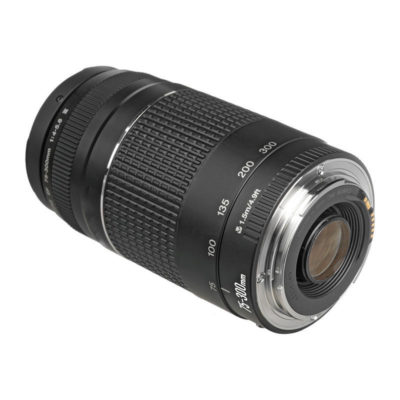 Canon EF 75-300mm f/4.0-5.6 III - Tweedehands