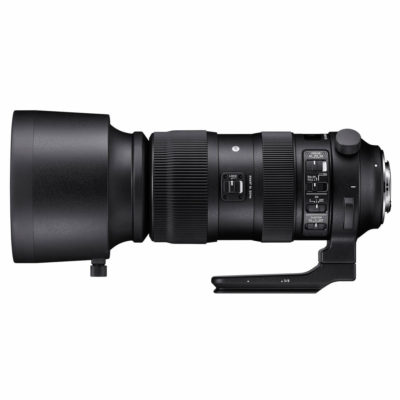 Sigma 60-600mm f/4.5-6.3 DG OS HSM Sports Nikon F - Tweedehands