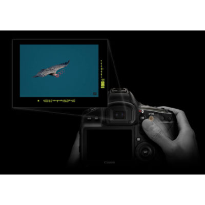 Canon 1D X Mark III - Tweedehands