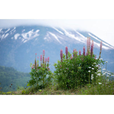 Tamron 70-300mm f/4.5-6.3 Di III RXD Nikon Z-mount - Tweedehands
