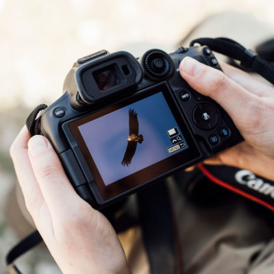 Afbeelding van Canon EOS R7 - Tweedehands