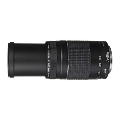 Canon EF 75-300mm f/4.0-5.6 USM III - Tweedehands