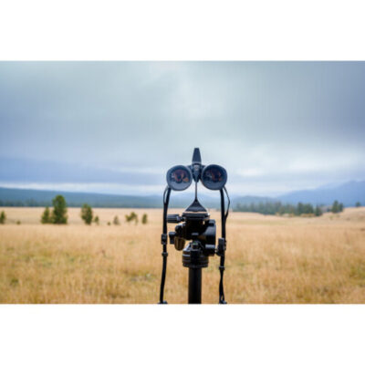 Zeiss Conquest HDX 10x42 verrekijker