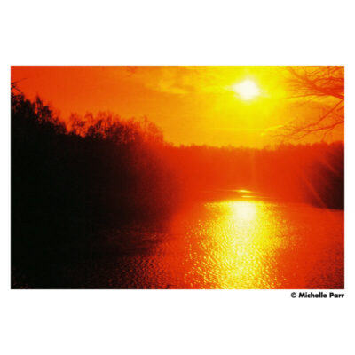 Harman Red 125 Film 135-36