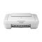 Canon PIXMA MG2950 printer Wit