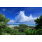 Canon RF 16mm f/2.8 STM - Tweedehands