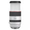 Canon RF 70-200mm f/2.8L IS USM - Tweedehands