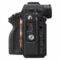 Sony Alpha A9 II - Tweedehands