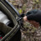 Pgytech OnePro Flex 40L + Insert L