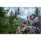 Zeiss Conquest HDX 10x32 verrekijker