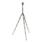 3 Legged Thing Punks Corey 2.0 Tripod Kit Black/Green with AirHed Neo 2.0