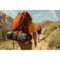 GoPro Magnetic Swivel Clip lifestyle