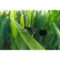 Laowa 15mm f/4.5 0.5x Wide Angle Macro Auto Aperture Sony E-mount objectief